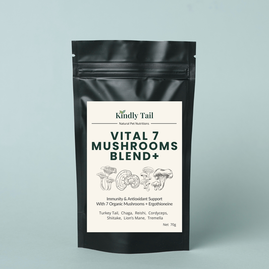 7 mushroom blend supplement for dogs and cats supporting immune system gut health and healthy aging