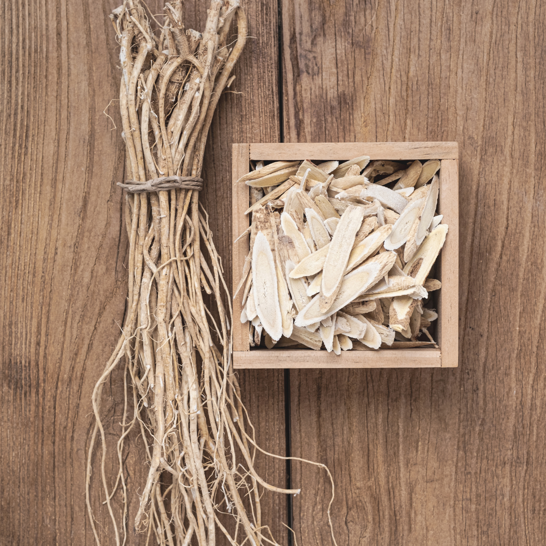 Bunch of dried Astragalus roots on a wooden surface with a small wooden box containing cut pieces of roots.