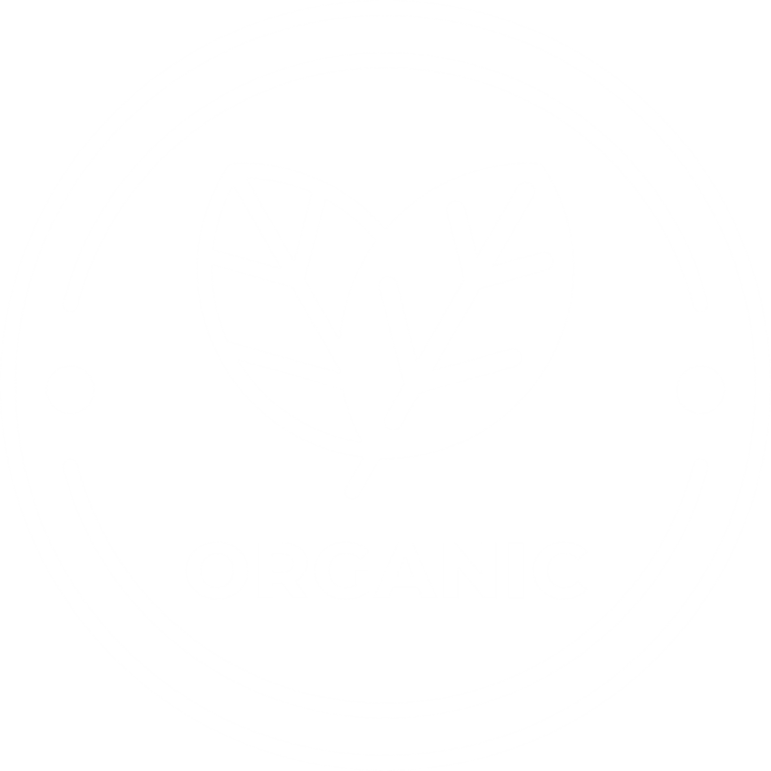Organic Product image with a clear background