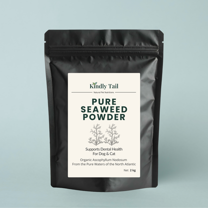 ascophyllum nodosum seaweed powder for dogs supporting dental health and reducing plaque and tartar