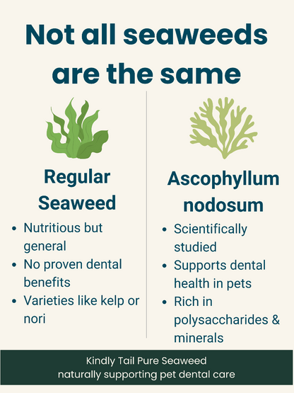comparison between ascophyllum nodosum seaweed and generic seaweed powder for dogs showing differences in dental support