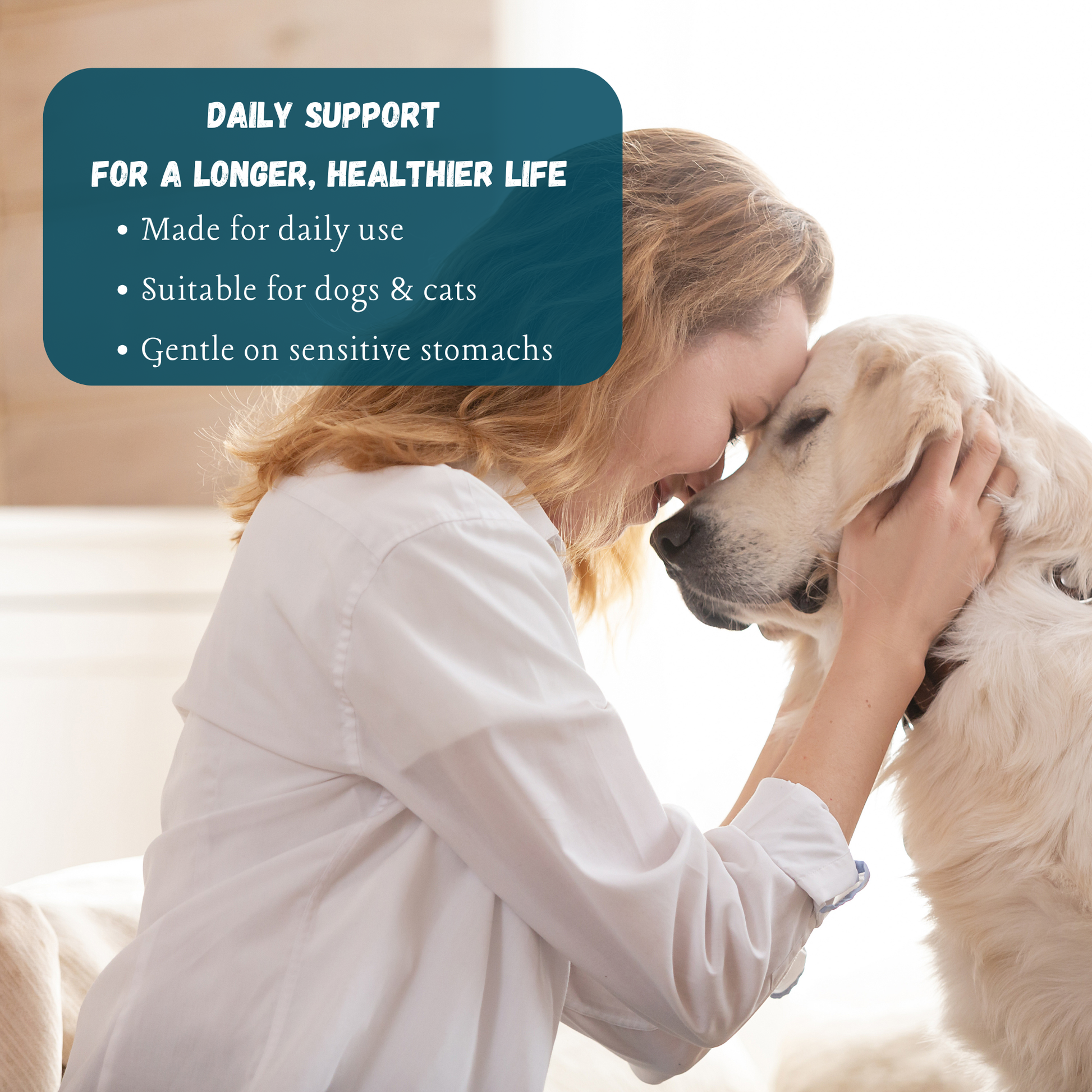 Daily mushroom supplement for dogs supporting immune health vitality and healthy aging for dogs and cats