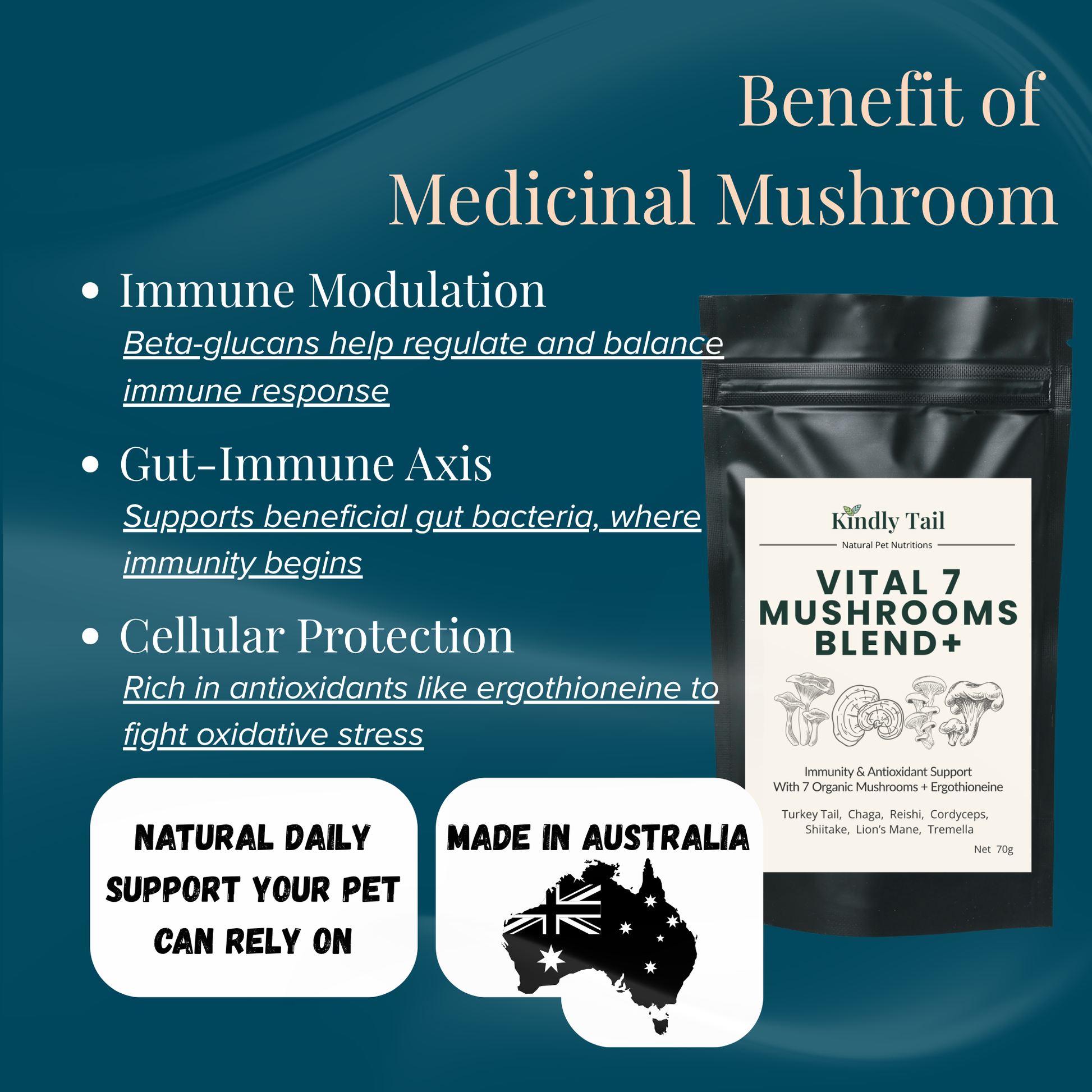 How functional mushrooms support dog immune system through beta glucans gut health and antioxidant protection