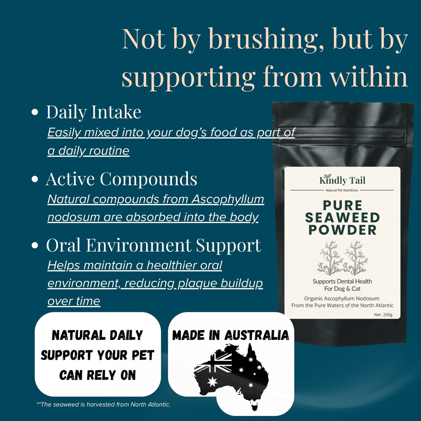 how seaweed dental powder works for dogs through daily intake absorption and support of oral health