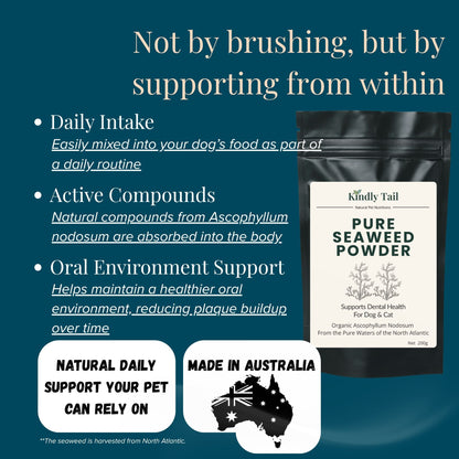 how seaweed dental powder works for dogs through daily intake absorption and support of oral health