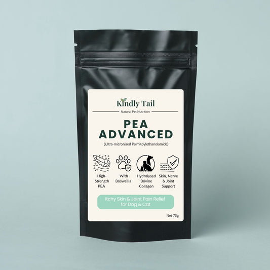 Front view of Kindly Tail PEA Advanced for Dogs with Boswellia and hydrolysed bovine collagen