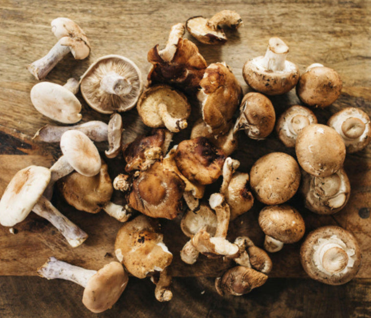 Assorted health mushrooms on a wooden cutting board