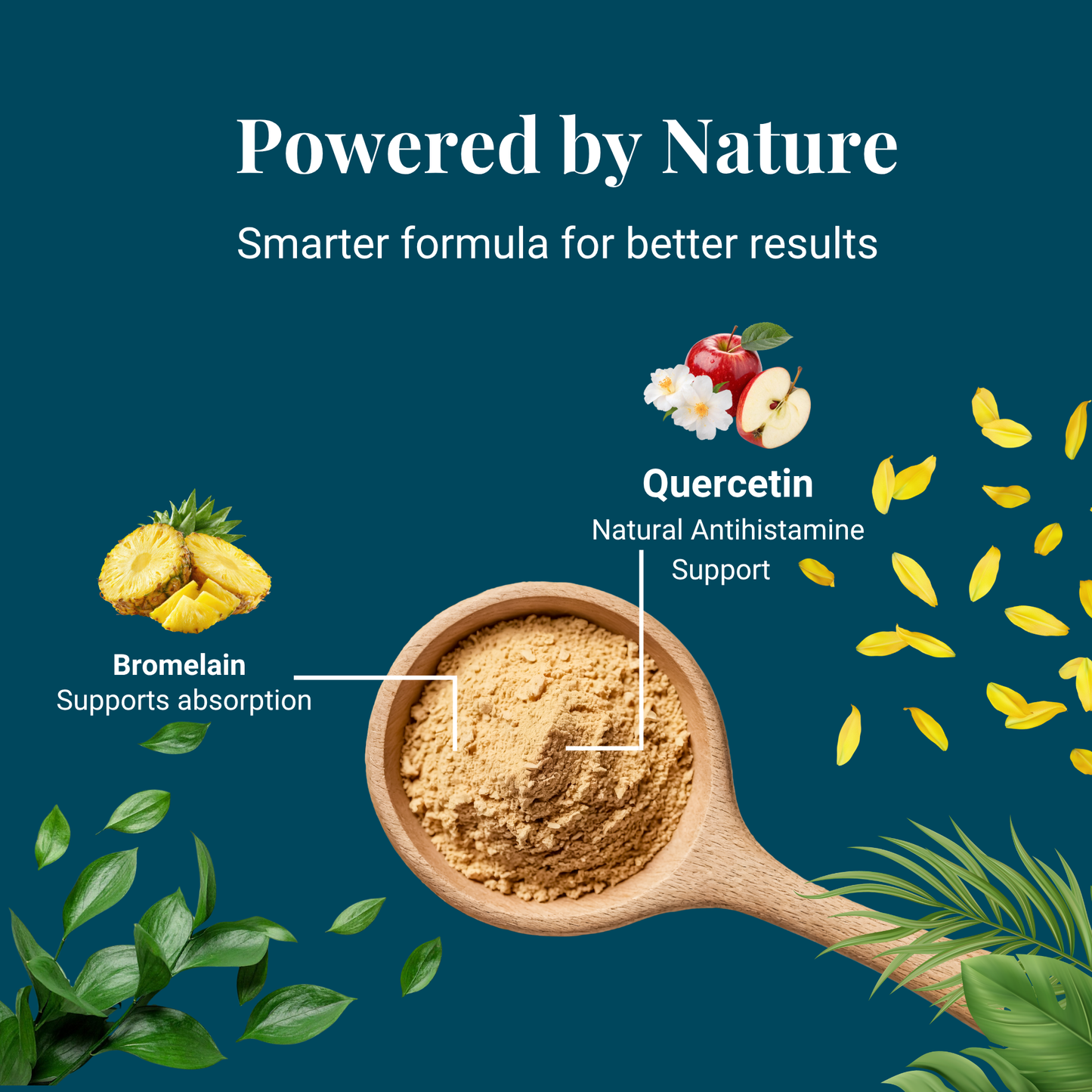 Quercetin and bromelain ingredients for dogs designed to support natural allergy response and immune health