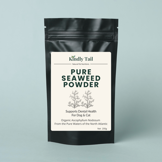 seaweed dental powder for dogs to help reduce plaque tartar and bad breath naturally